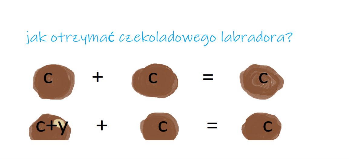 Obraz15